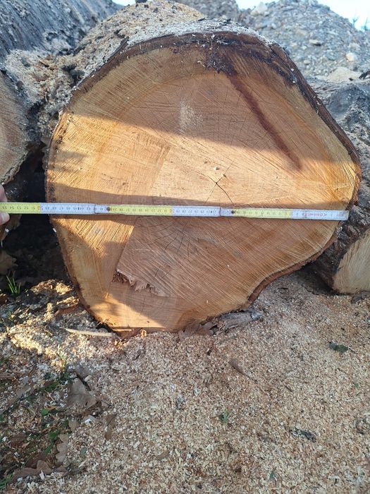 Drewno drzewo czereśnia i orzech