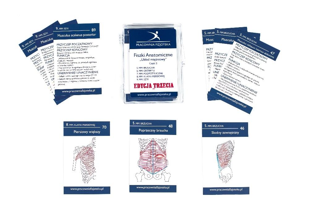 Anatomiczny prezent na wakacje-FISZKI ANATOMIA