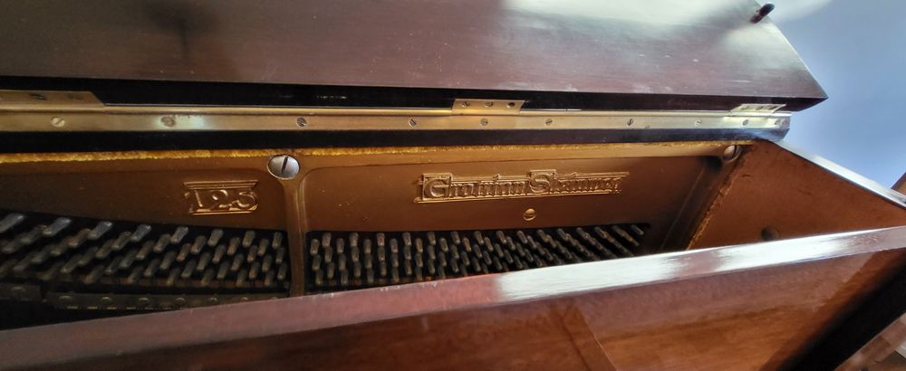 Grotrian Steinweg Mod 125, świetny stan, video, okazja