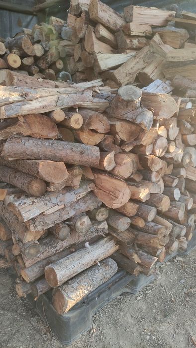 Lenha seca rachada Sobro