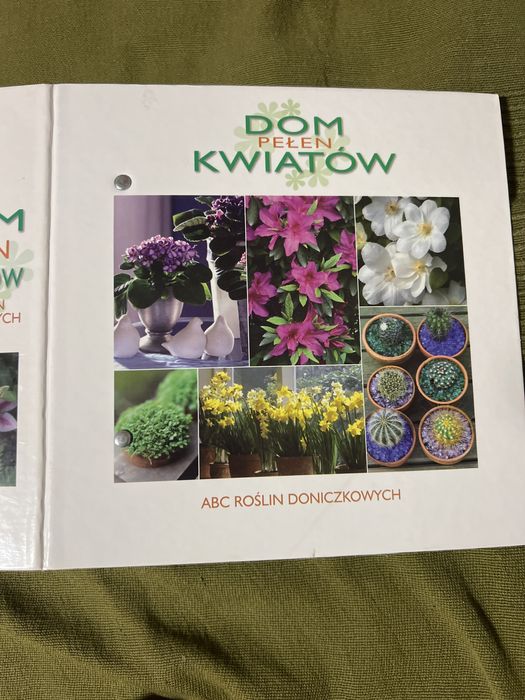 Квіти різні опис про квіти різні.