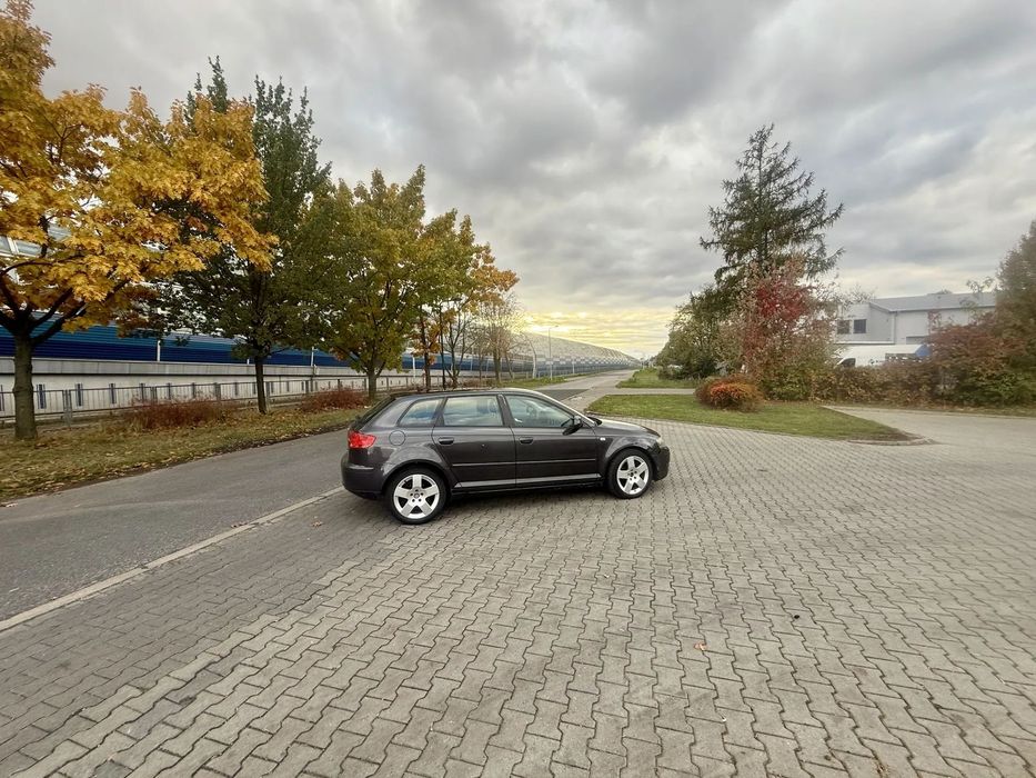 Audi A3 AUDI A3 8P Ambition bez DPF - zadbany
