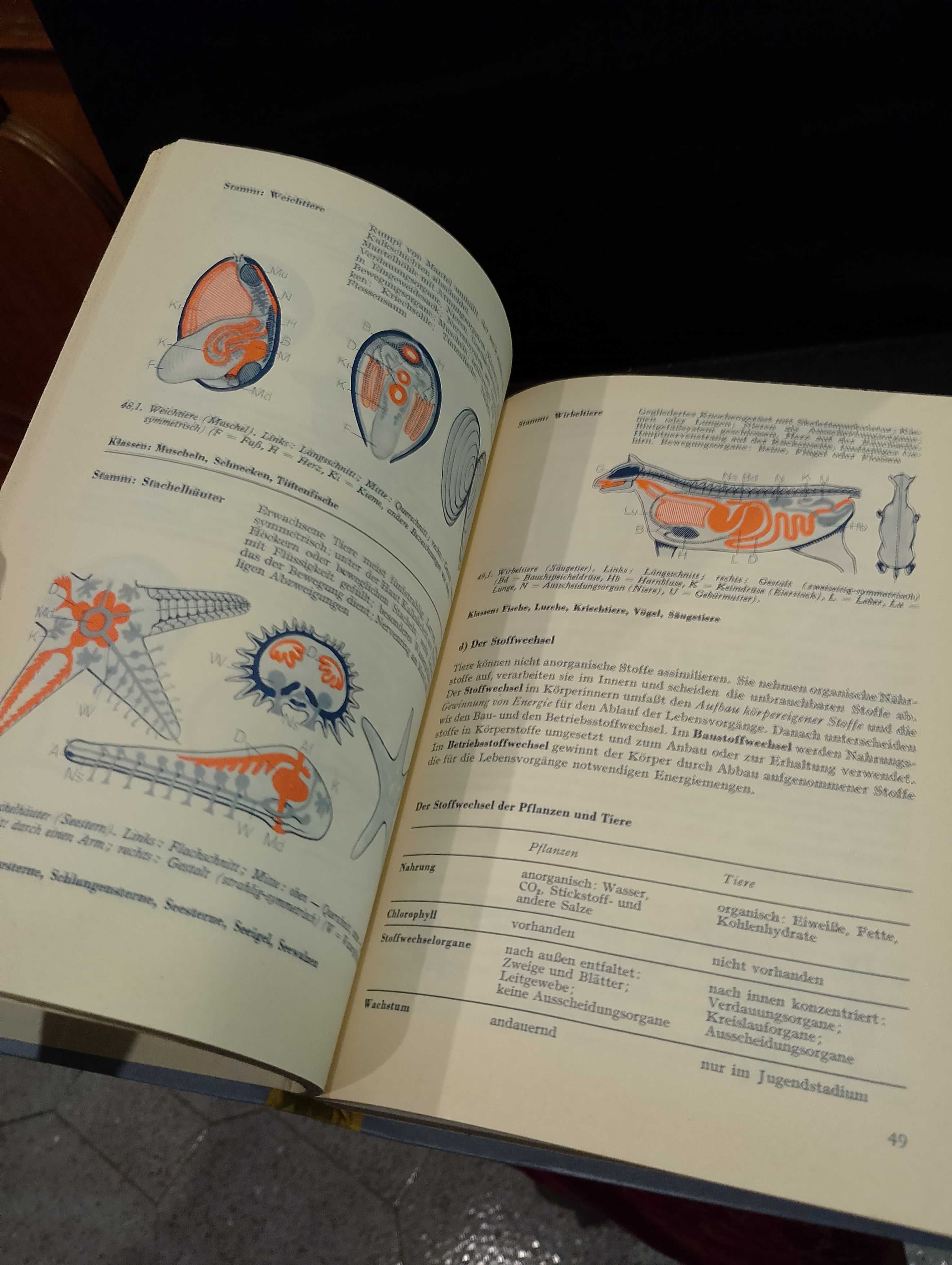 Kletts Biologisches Unterrichtswerk - Band VII