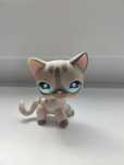 Lps kotek shorthair