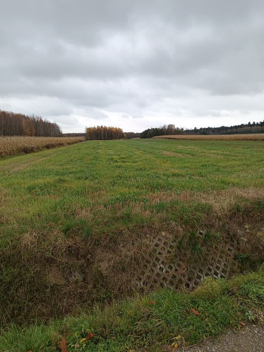 Sprzedam działkę rolną częściowo zalesioną