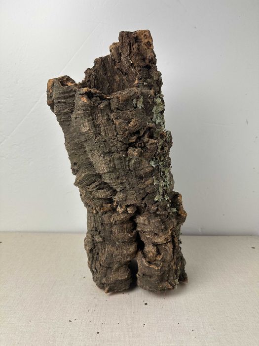 Tuba korkowa do terrarium nr5 ozdoba do terrarium gekon pająk agama