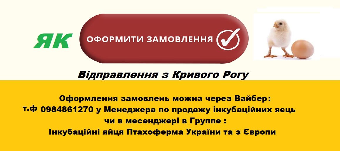 Инкубационные яйца с Птицефермы