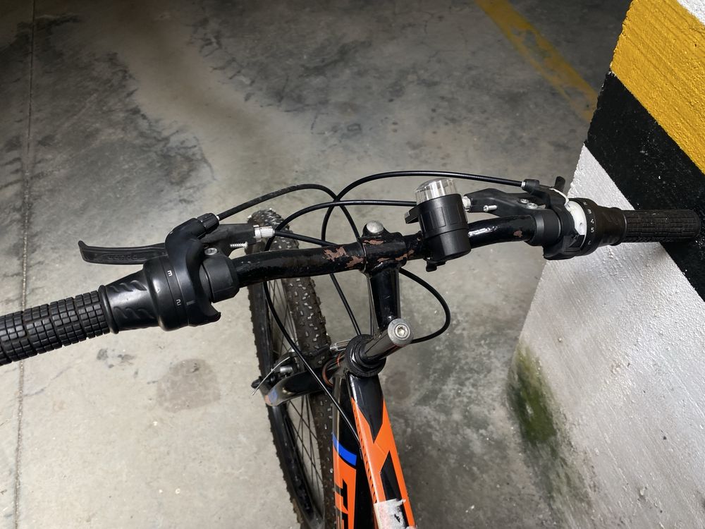 Bicicleta Estrada desportiva Team Adulto Velocidades