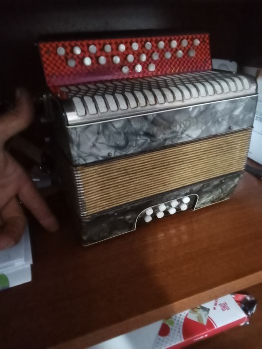 Mini concertina verdadeira