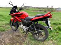 Honda CBF Honda CBF 125 , kat.A1,B, niski przebieg