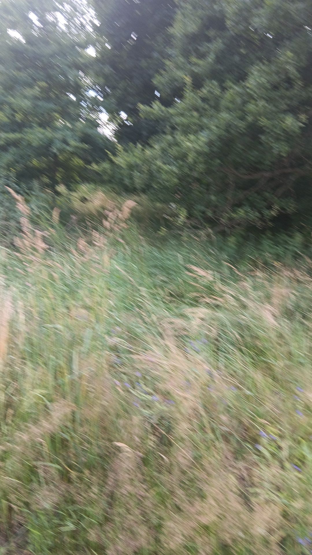 Sprzedam działkę