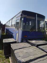 Автобус IKARUS 256