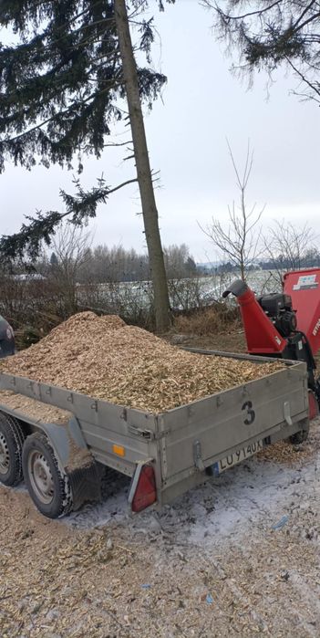 Wycinka drzew, prace alpinistyczne, zrębkowanie gałęzi