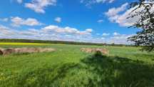 Gospodarstwo rolne, siedlisko, wieś Stefanów