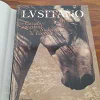 Cavalo lusitano novo