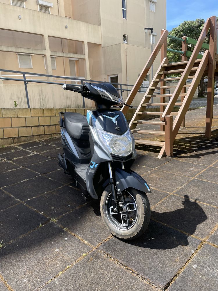 Mota eletrica vortex goose two