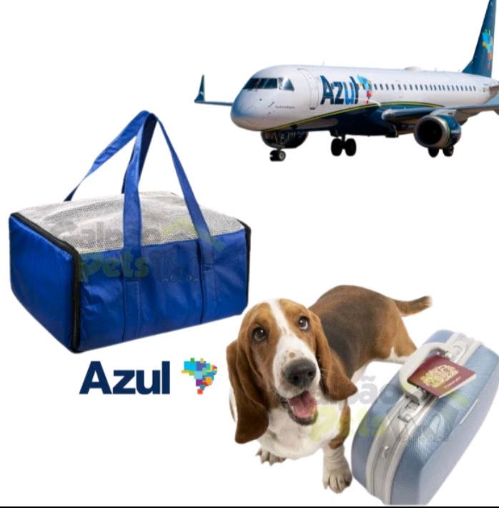 Bolsa transporte pet cabine cia Azul