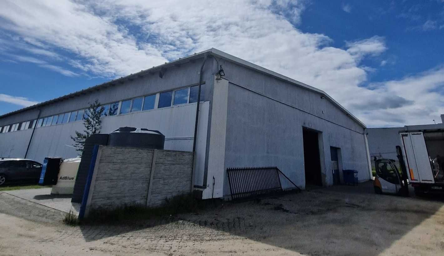 Magazyn do wynajęcia – przeładunki, składowanie | Nysa