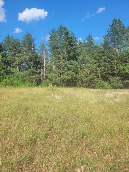 Ділянка примикає до лісу в с Кодра.3000$ за всі 12 соток.Розсрочка діє