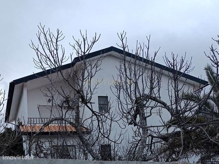 Moradia com terreno murado de 5000 m2