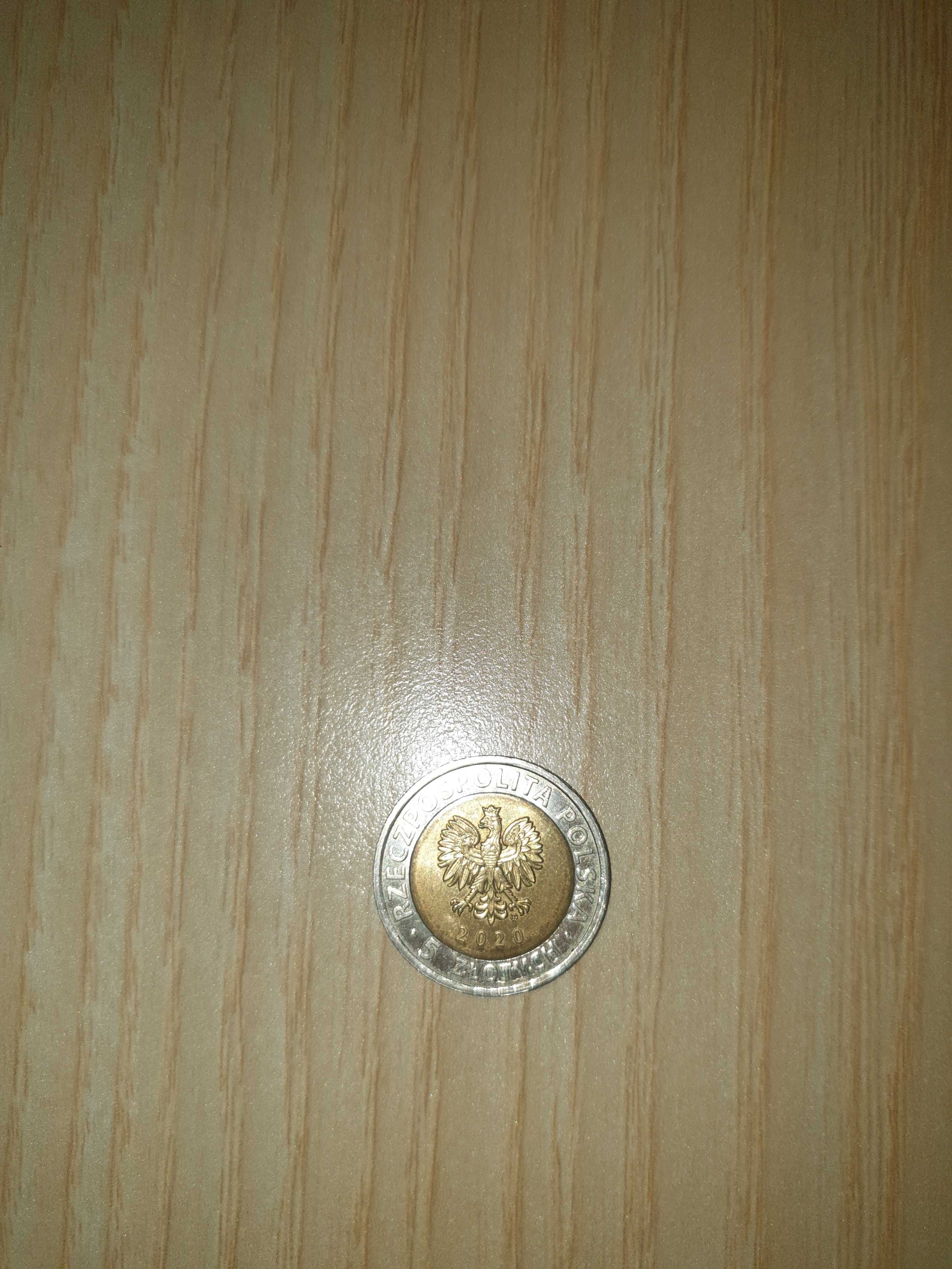 Moneta pięć zlotych
