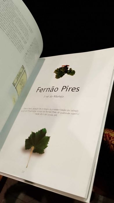 José A. Salvador 16 Castas Portuguesas