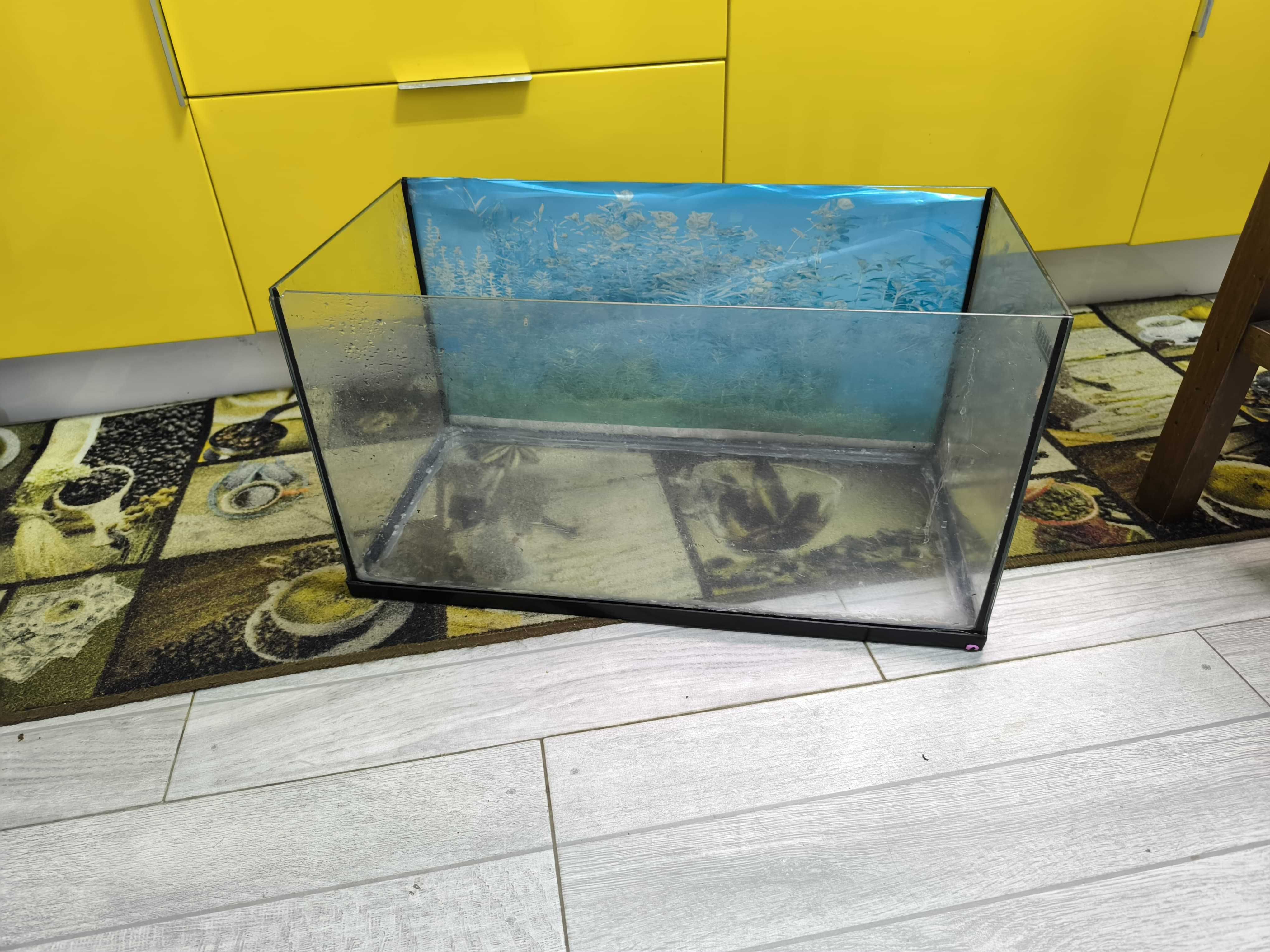 Aquário de Peixes