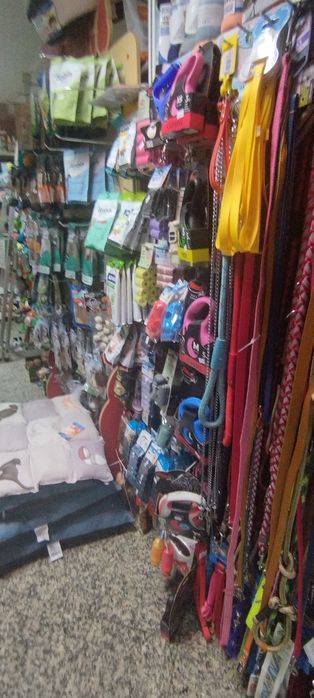 Loja de animais e consultório veterinário