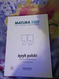 Matura polski 2019
