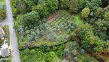 Terreno  para venda