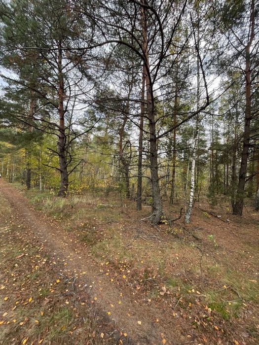 Продається земельна ділянка в с. Абрамівка, Київська область