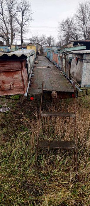 Платформа для бджіл