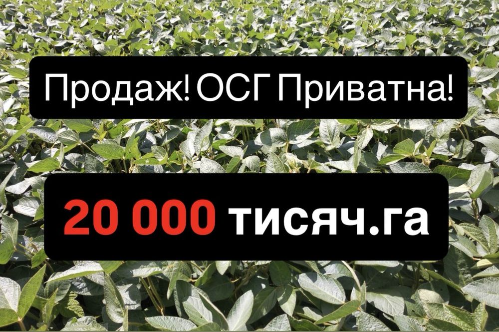 Продаж! Пахотної землі 20 000 тисяч га. Приватна власність, Житомир