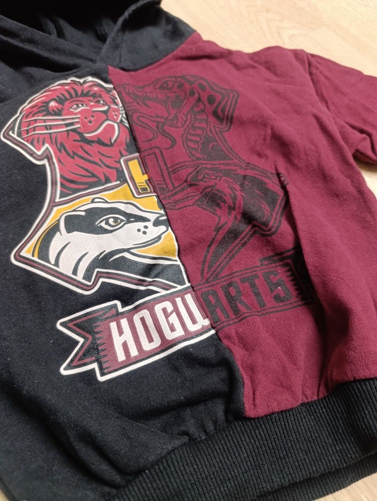 Bluza Harry Potter 110