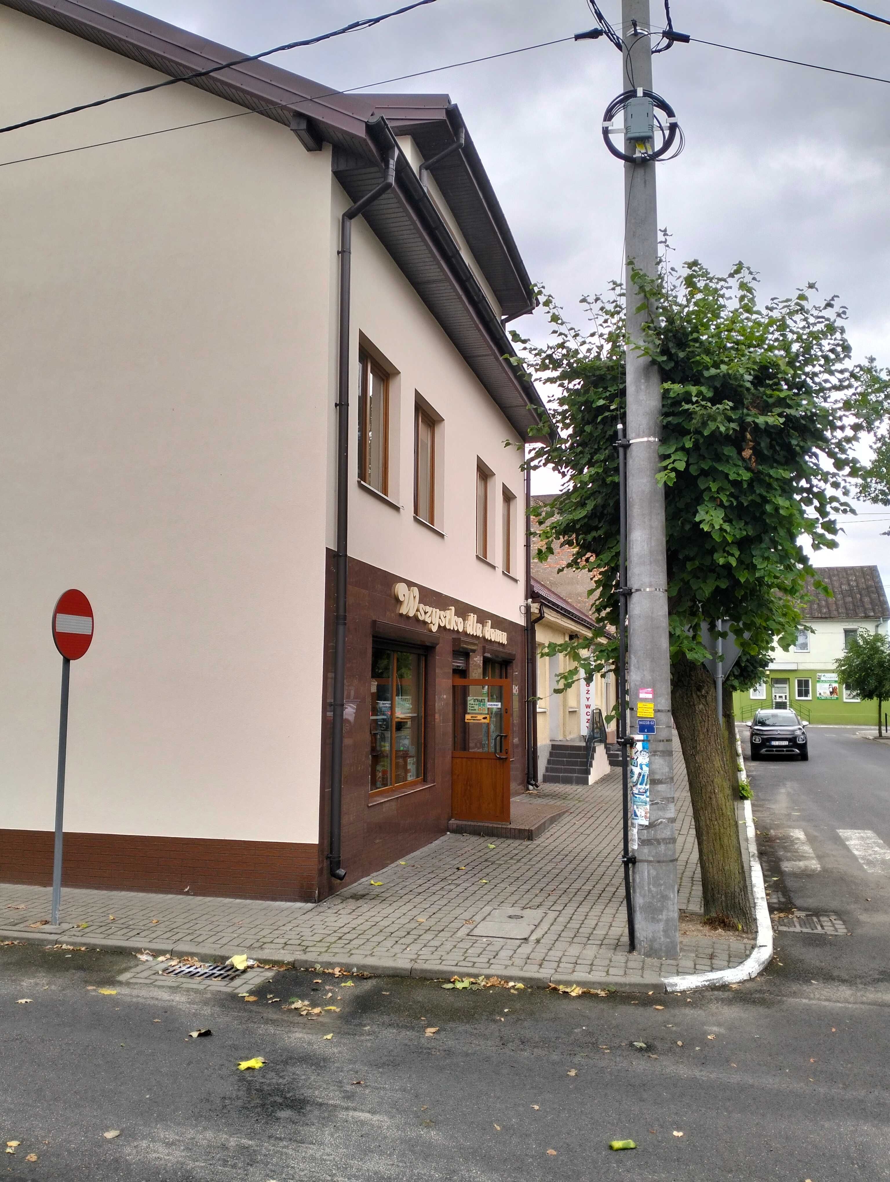 Lokal do wynajęcia w Dobrzyniu nad Wisłą