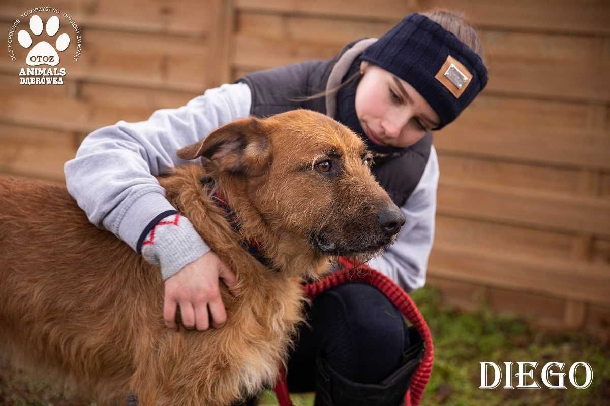 Dla Diego, każdy dzień spędzony z Tobą, będzie jego ulubionym.