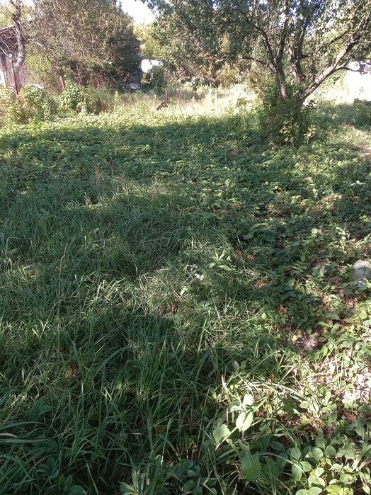 Продаж земельної ділянки у м Суми