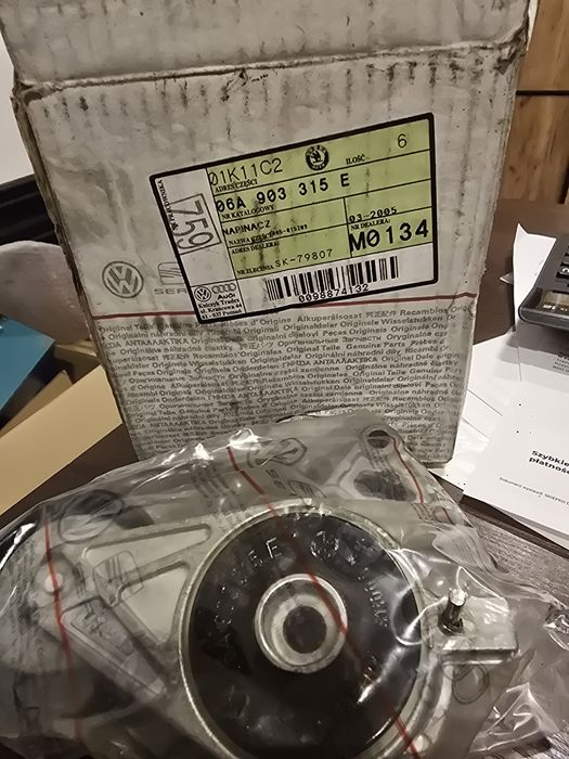 Napinacz Napinacz Paska Do VW Audi Seat Skoda 06A903315E