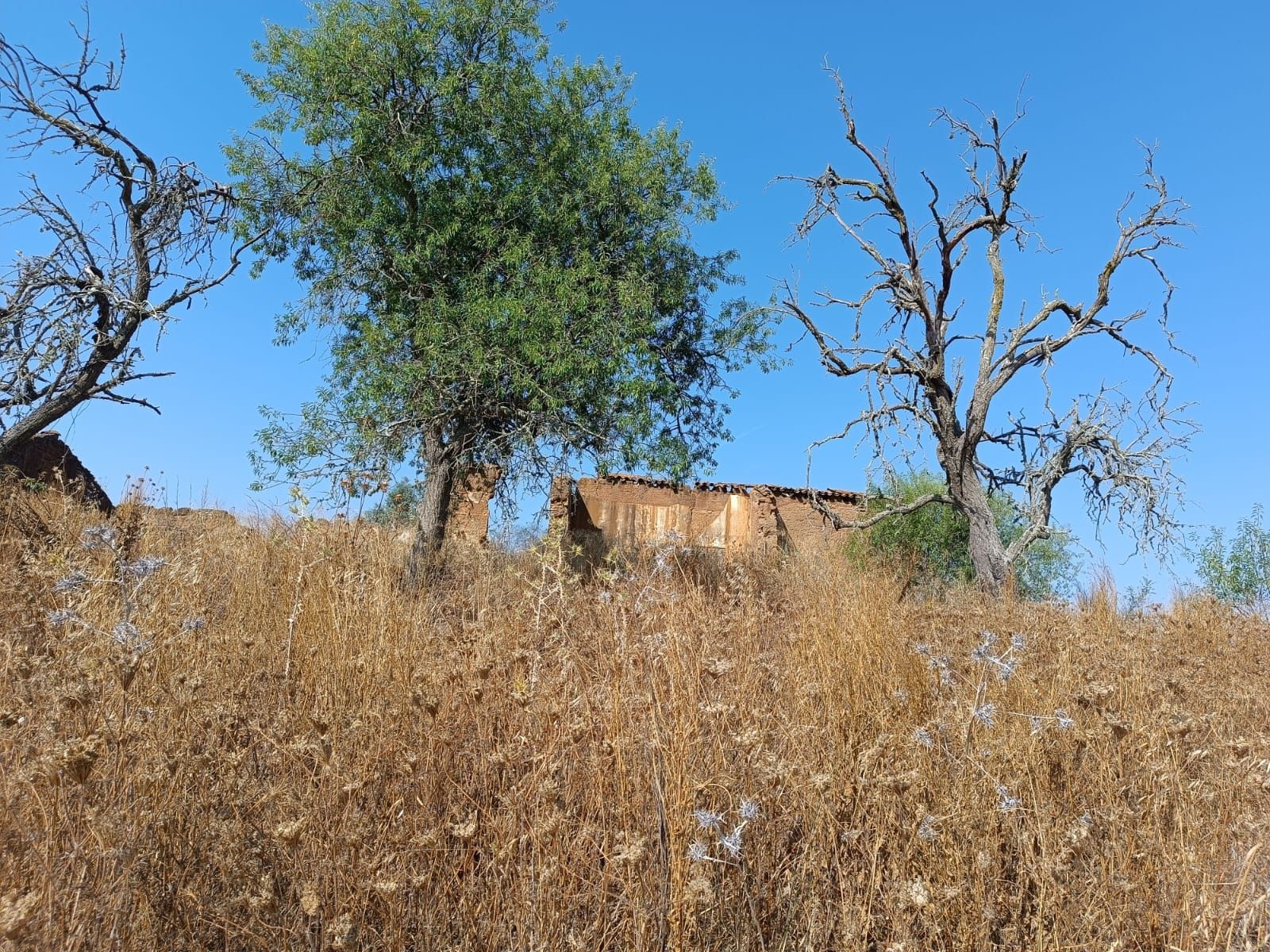 Herdade de 27 hectares