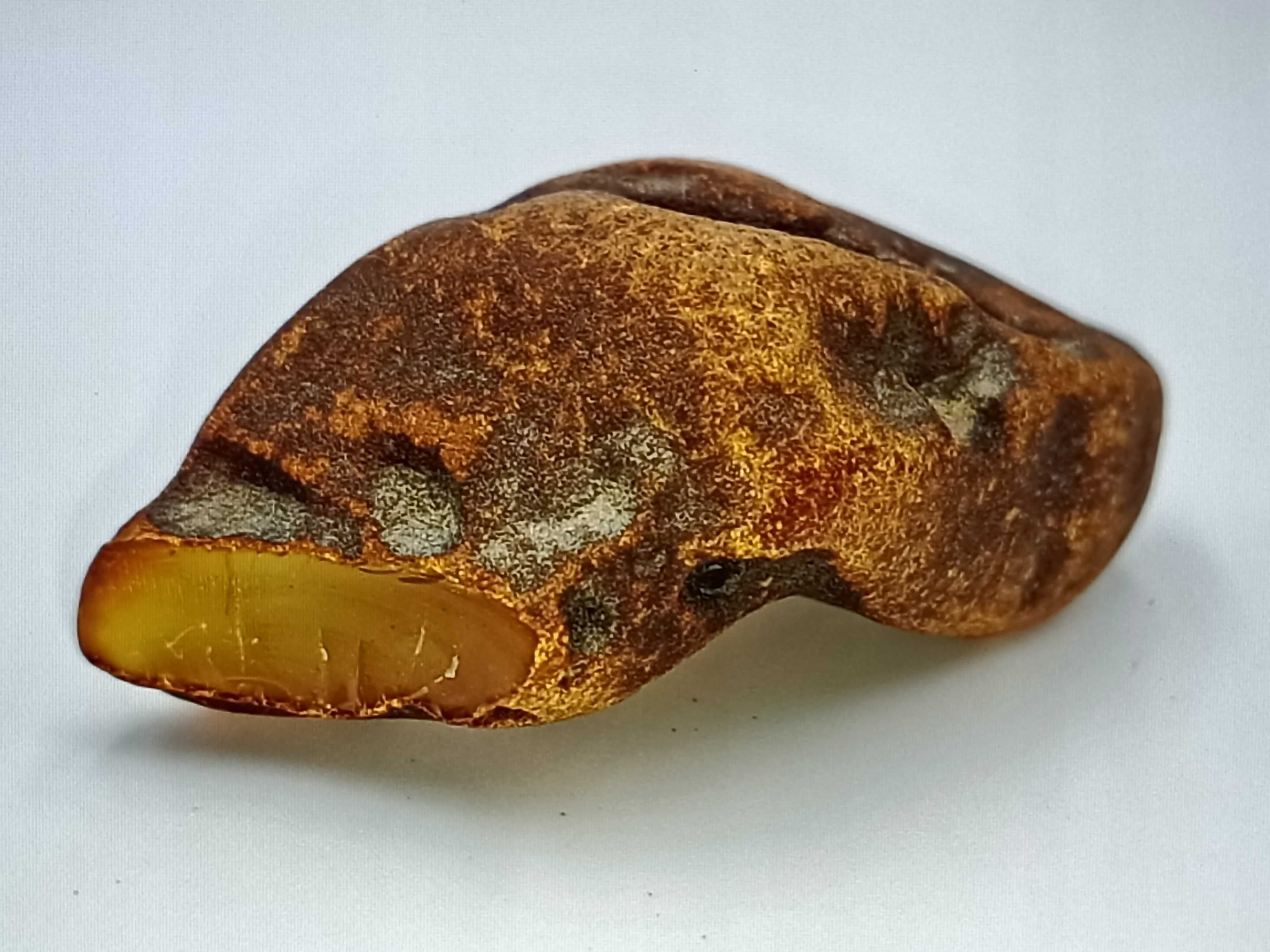 Bursztyn bałtycki naturalny bryłka okaz 51 gram