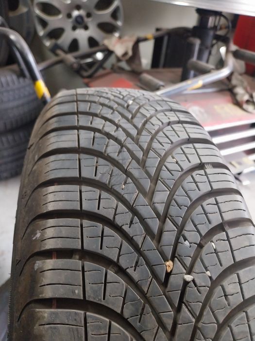 Opony Całoroczne Dębica 175/65R15 84H