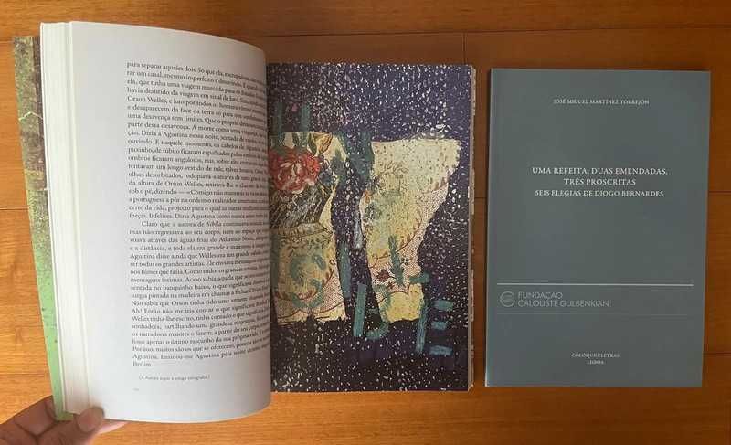 Colóquio Letras N.º 187 de Nuno Júdice