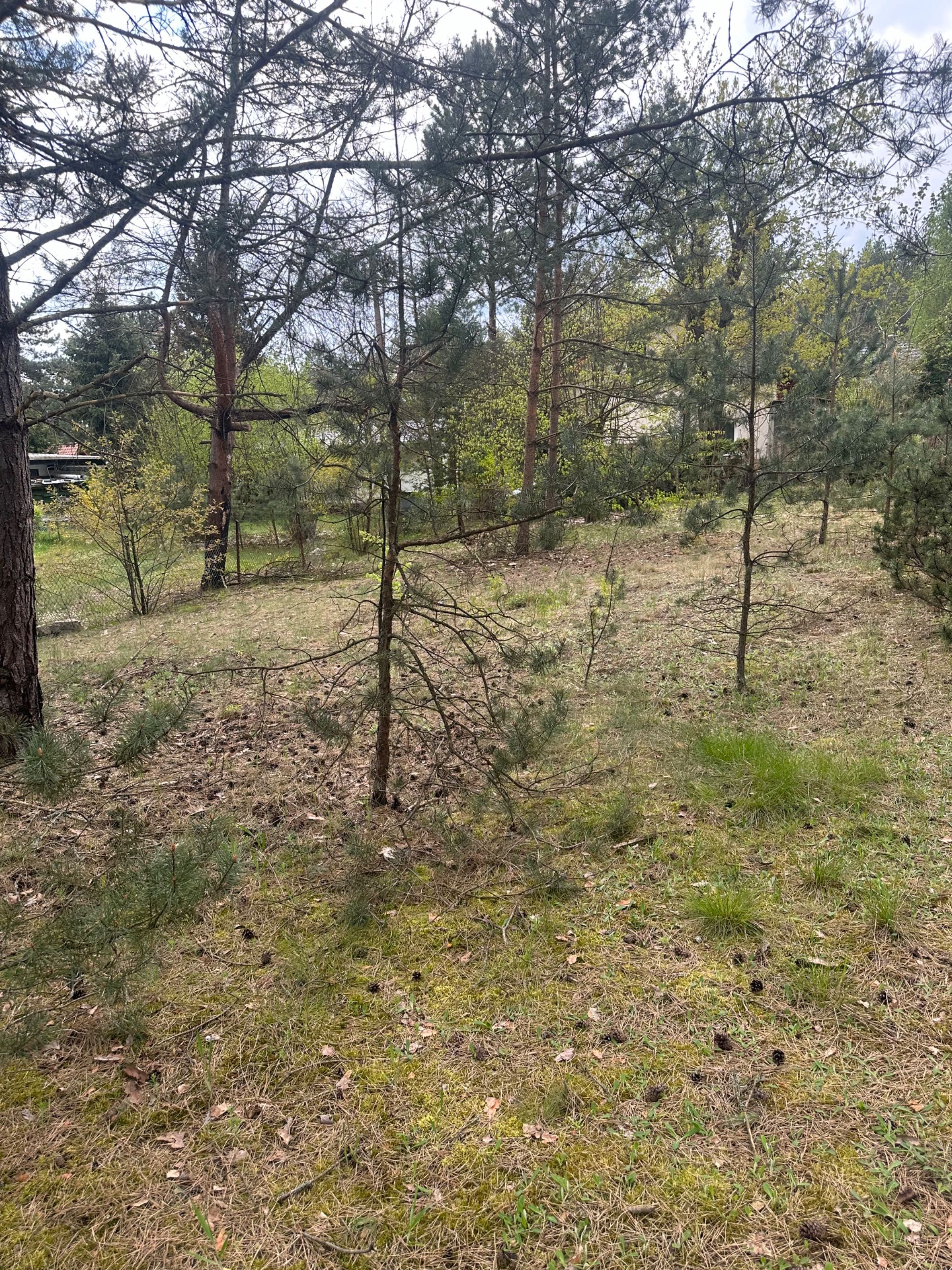 Działka Bory Tucholskie, m. Pięćmorgi, jezioro, las, warunki zabudowy