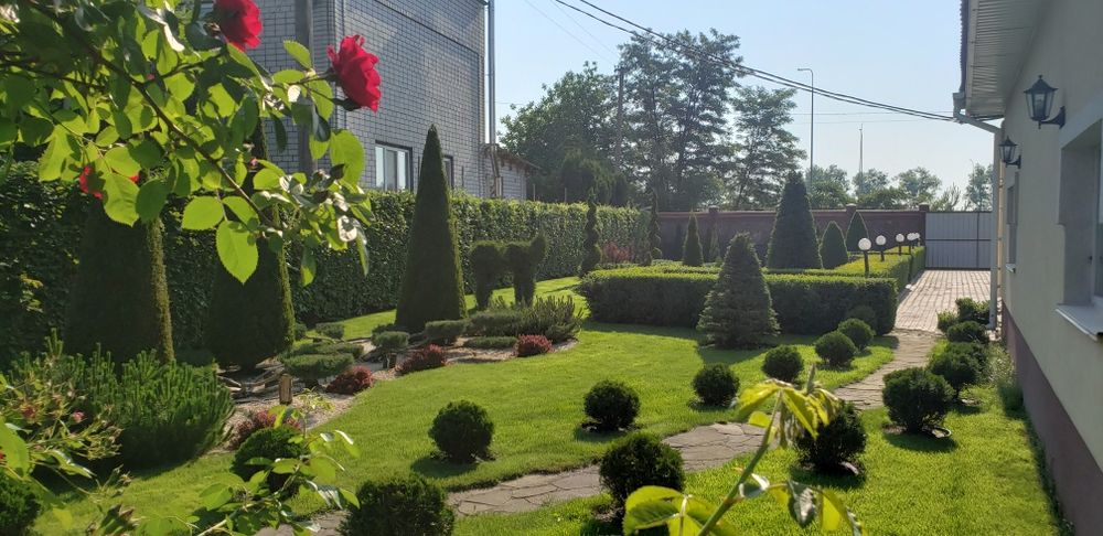 Топіарна стрижка рослин  автоматичний полив стрижка газону