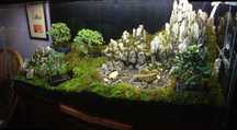 Akwarium, Terrarium, Paludarium, Opti-White 12mm, pok. z oświet., 450l