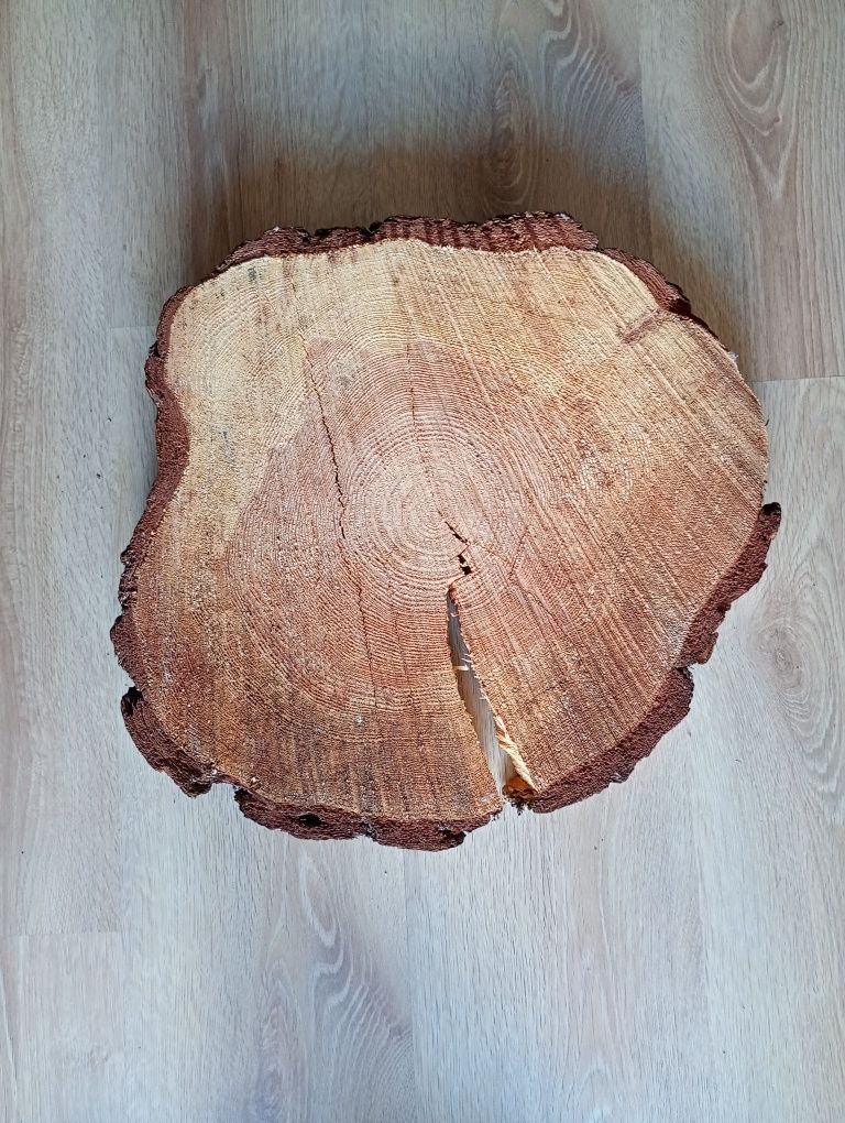 Piękny Plaster Drewna, blat na stylowy stolik, podstawka, styl Loft