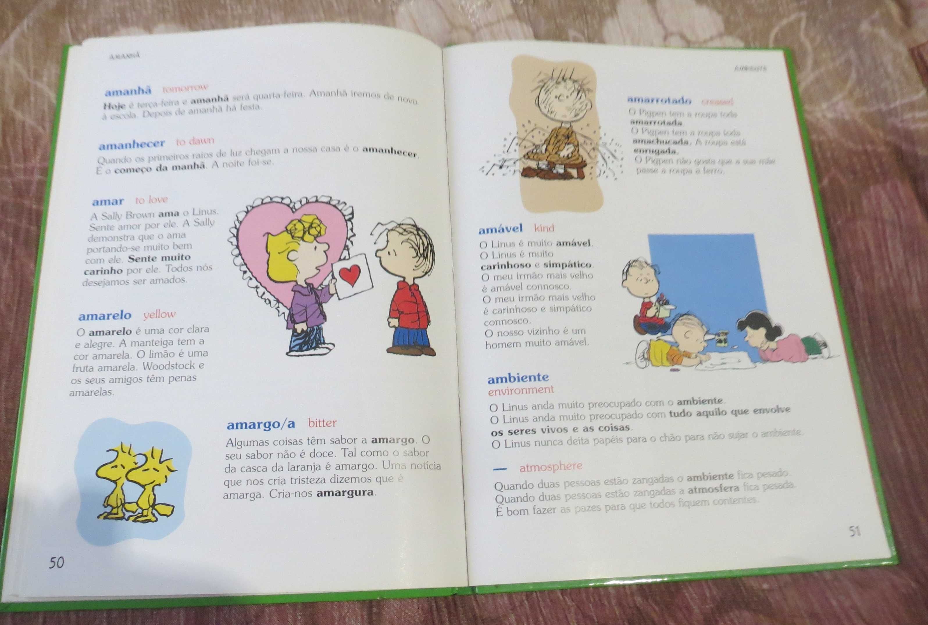 Livro Dicionário Ilustrado Charlie Brown - Começar a aprender Inglês