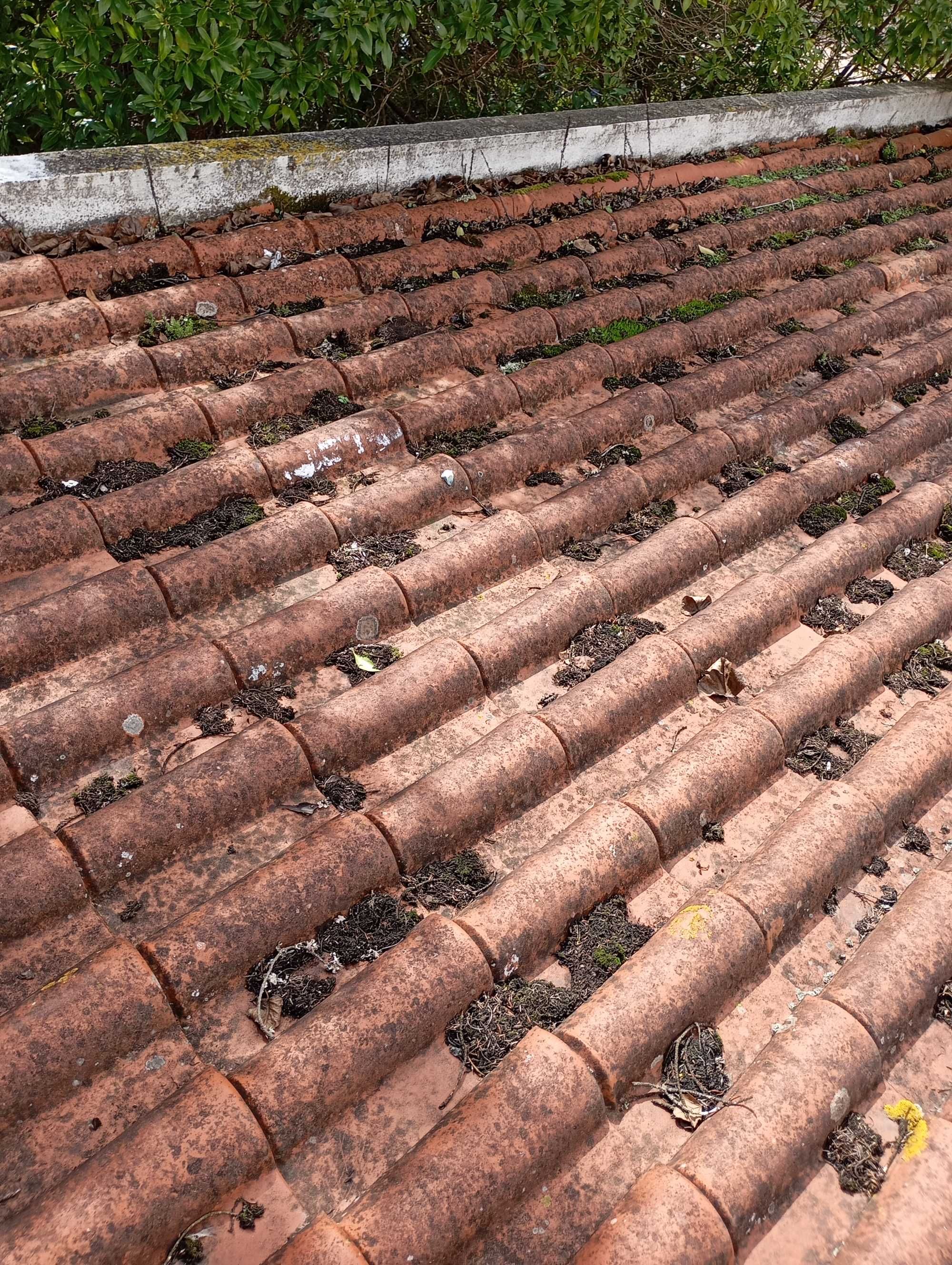 Limpeza de Telhados