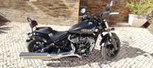 Indian Chief Dark Horse Black Smoke
