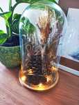 Podświetlana Kompozycja "Las Zamknięty Pod Szklaną Kopułą" - Handmade